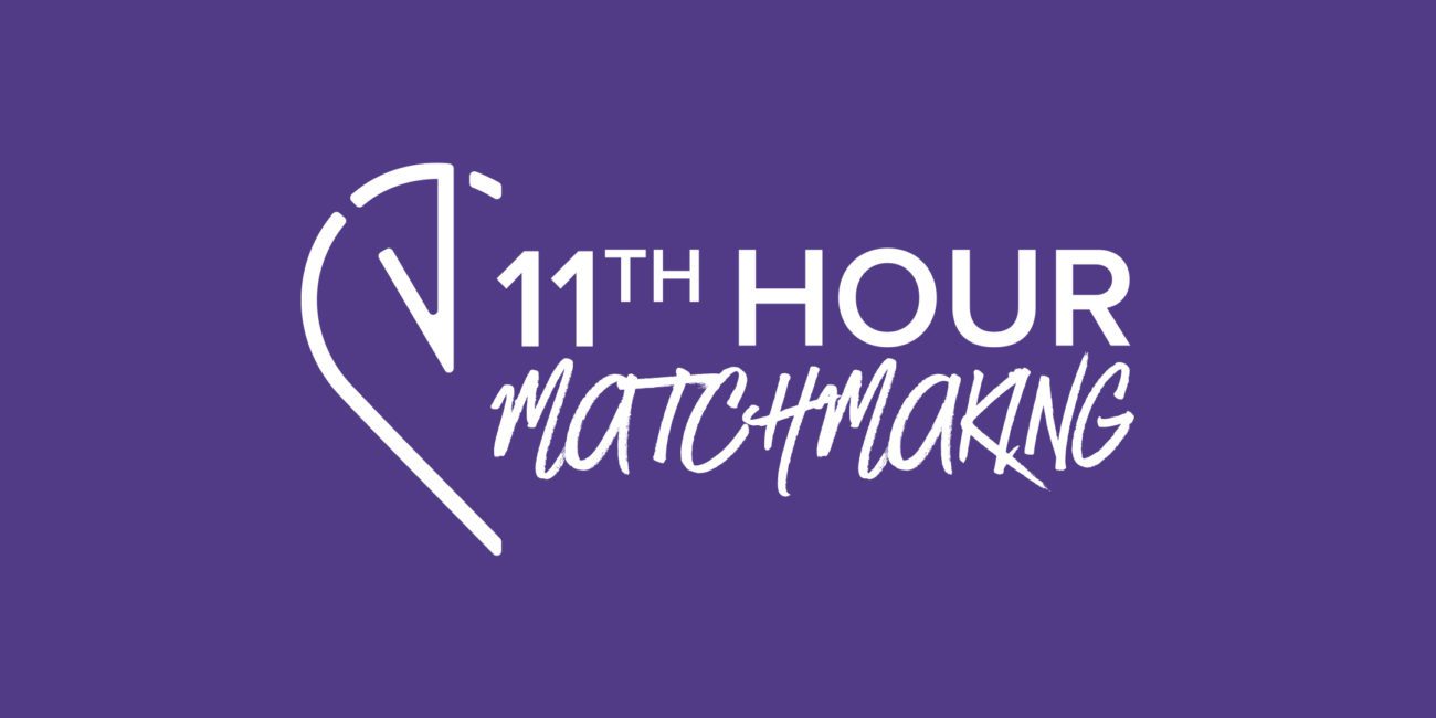11th Hour Matchmaking, Avintiv Media, Portfolio
