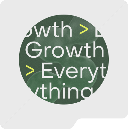 visibility and growth
